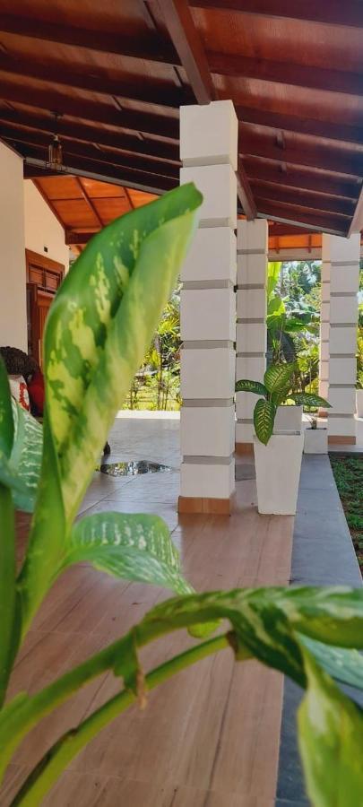 Appartement Ceylon Serenity