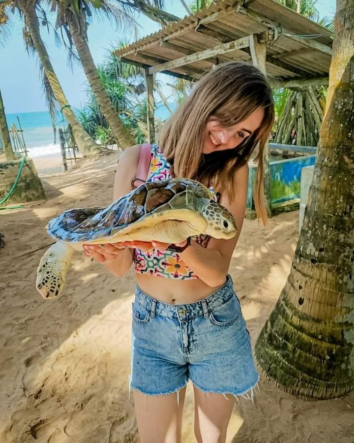 Ceylon Serenity بيروفالا