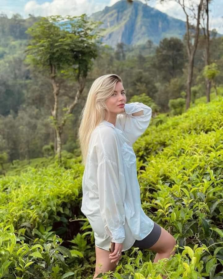 Ceylon Serenity * بيروفالا
